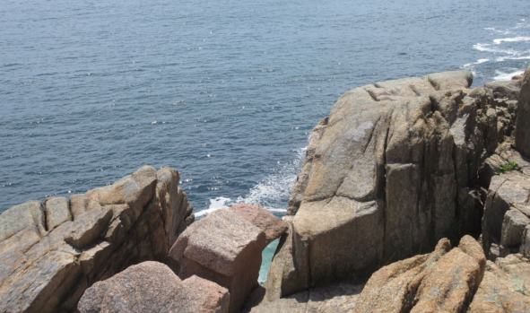 Climate Change Refugia in the Acadia National Park Region