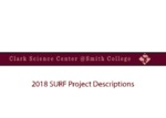Summer Research Fellowship Project Descriptions 2018