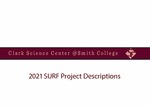 Summer Research Fellowship Project Descriptions 2021