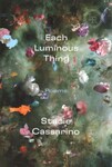 Each Luminous Thing by Stacie Cassarino