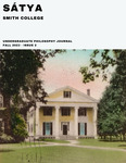 Issue 2: Sátya by Michela Rawson, Joe Sweeney, Harry Honig, Hebe Guo, Abby Murphy, Clara Kim, Ilan Liebmann, and Laila Al Ghandi